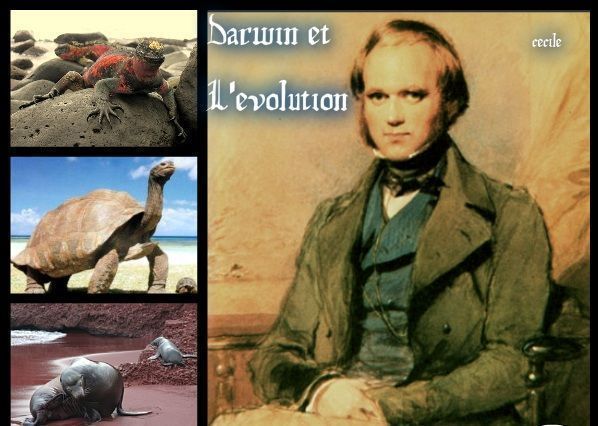 Darwin Et L'évolution