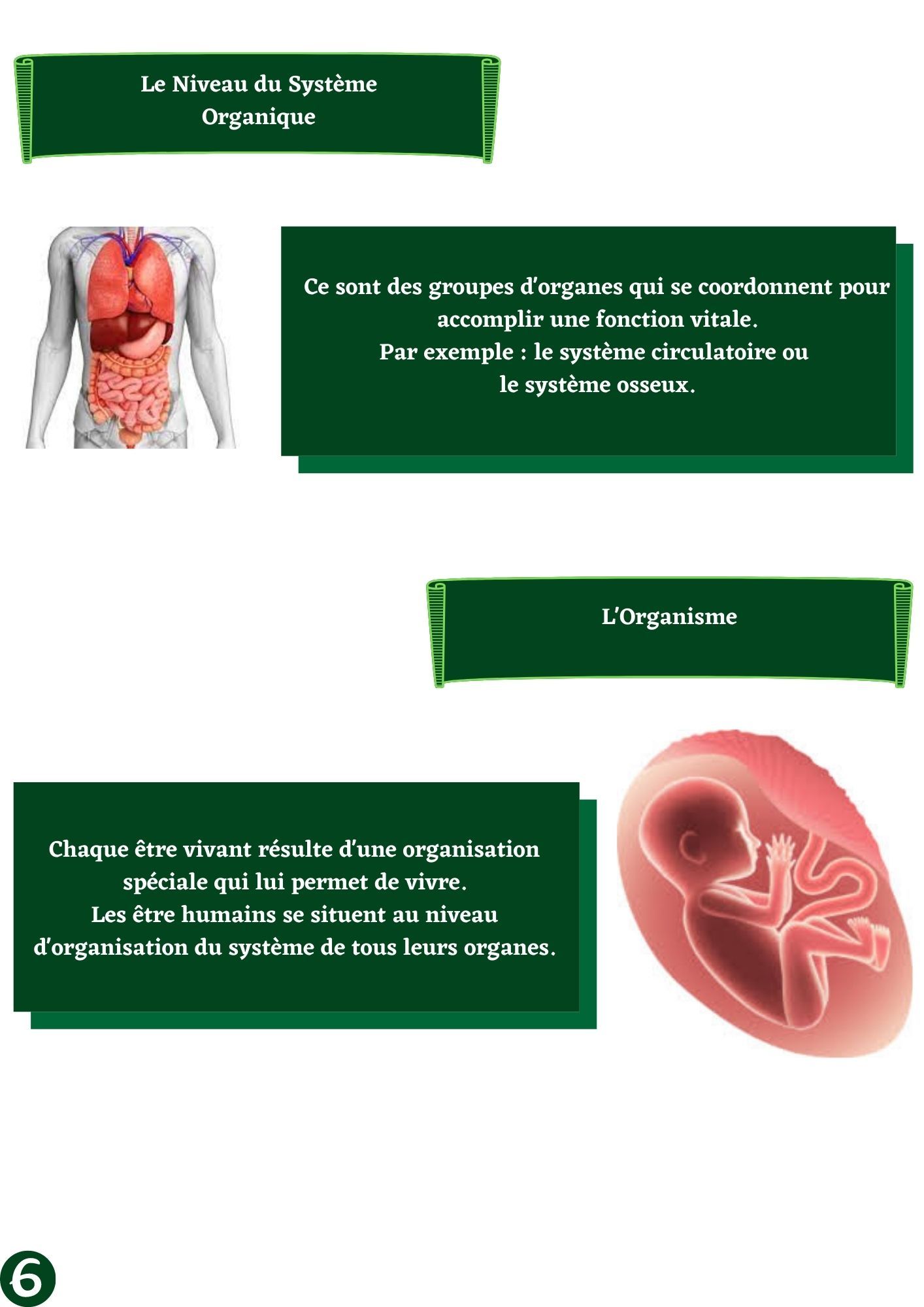 le corps humain